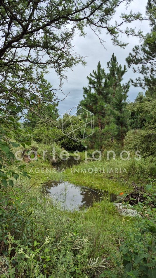 SAN CLEMENTE 9 HECTAREAS C/ SERVICIOS EN VENTA | CORDOBA