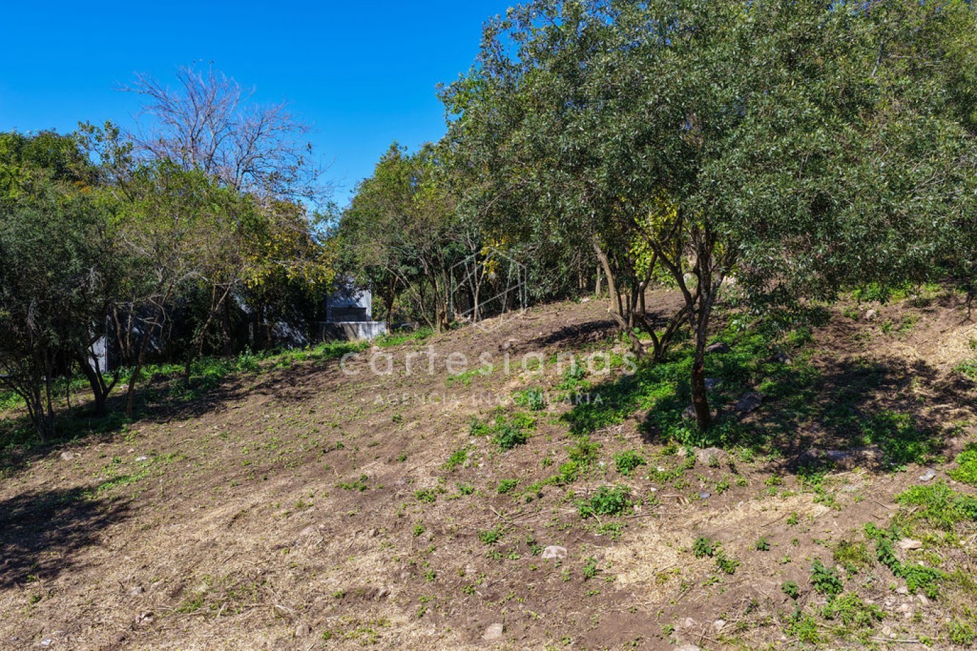 OPORTUNIDAD LOTE DE 3500 M2 SOBRE AV. SAN MARTIN | RIO CEBALLOS