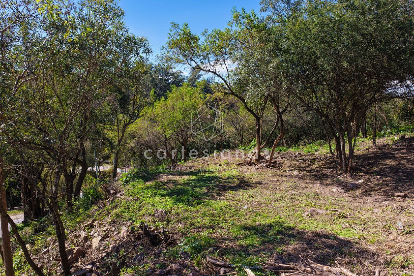 OPORTUNIDAD LOTE DE 3500 M2 SOBRE AV. SAN MARTIN | RIO CEBALLOS