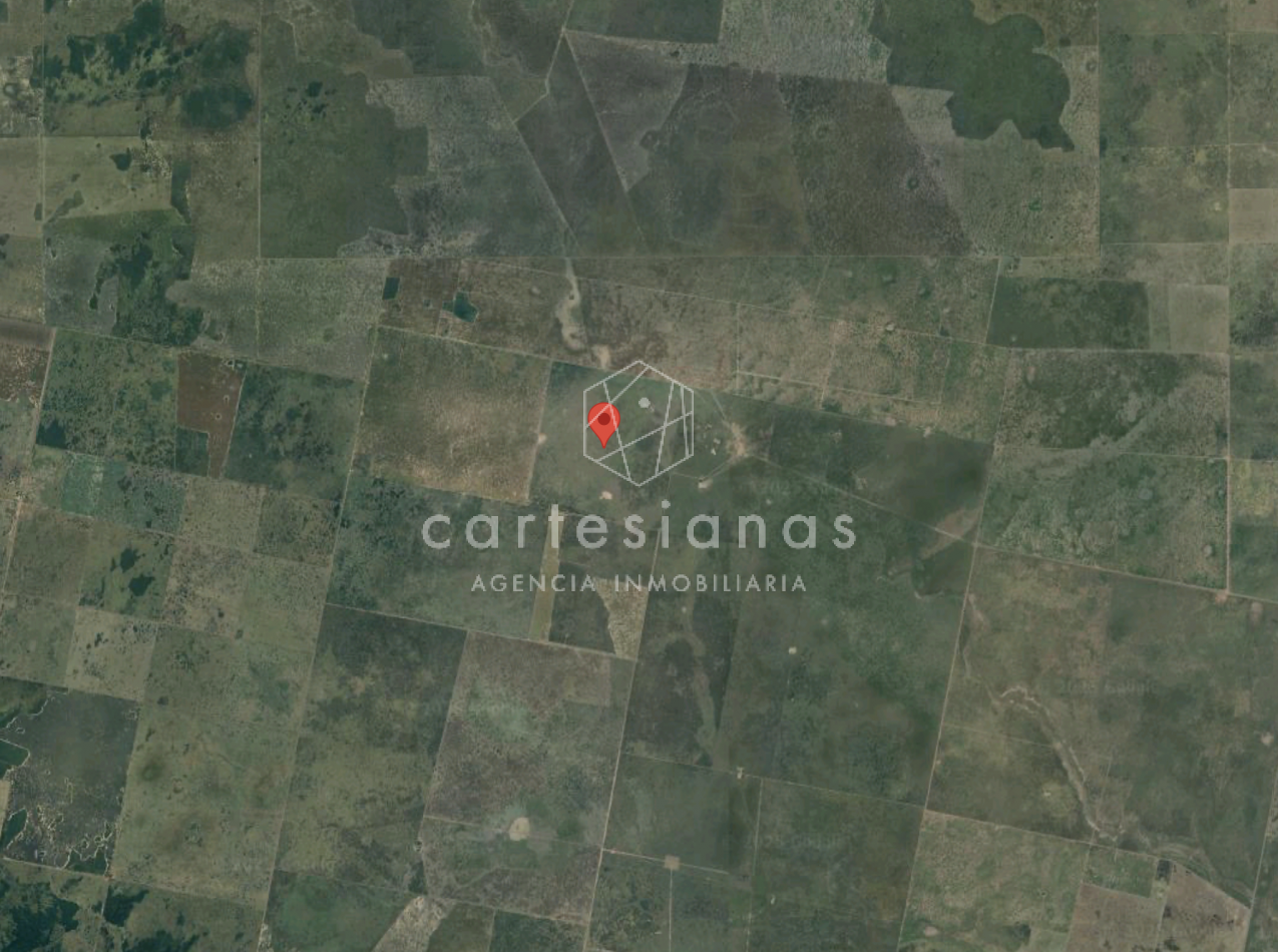 CAMPO AGRICOLA EN VENTA - 430 HECTAREAS PRODUCTIVAS