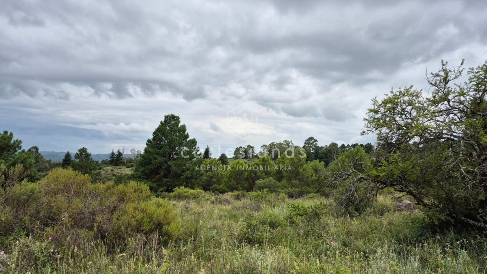 SAN CLEMENTE 9 HECTAREAS C/ SERVICIOS EN VENTA | CORDOBA
