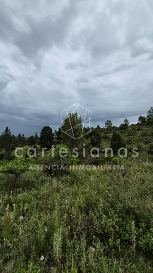 SAN CLEMENTE 9 HECTAREAS C/ SERVICIOS EN VENTA | CORDOBA