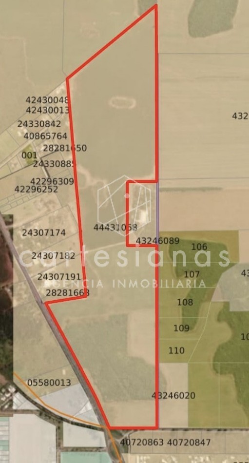 77 HA APTO LOTEO C/OPCION A 140 HA EN TOTAL | SOBRE RUTA E 53 UNQUILLO