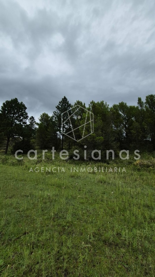 SAN CLEMENTE 9 HECTAREAS C/ SERVICIOS EN VENTA | CORDOBA