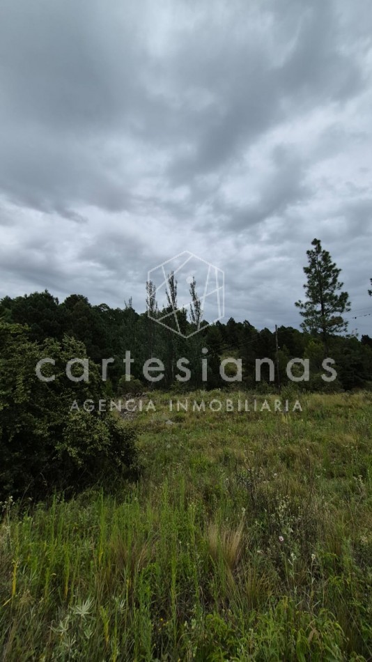 SAN CLEMENTE 9 HECTAREAS C/ SERVICIOS EN VENTA | CORDOBA