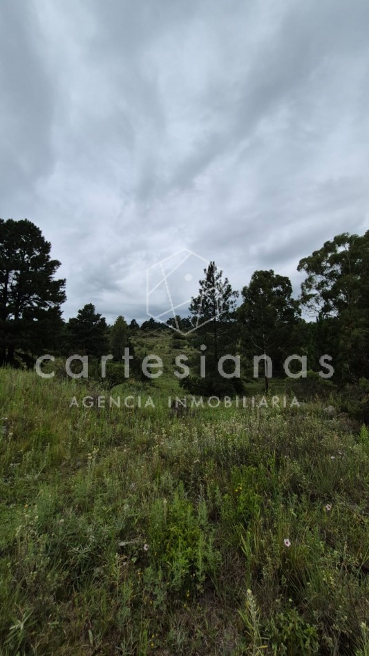 SAN CLEMENTE 9 HECTAREAS C/ SERVICIOS EN VENTA | CORDOBA