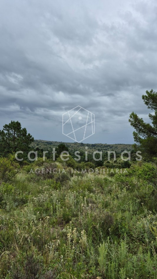 SAN CLEMENTE 9 HECTAREAS C/ SERVICIOS EN VENTA | CORDOBA