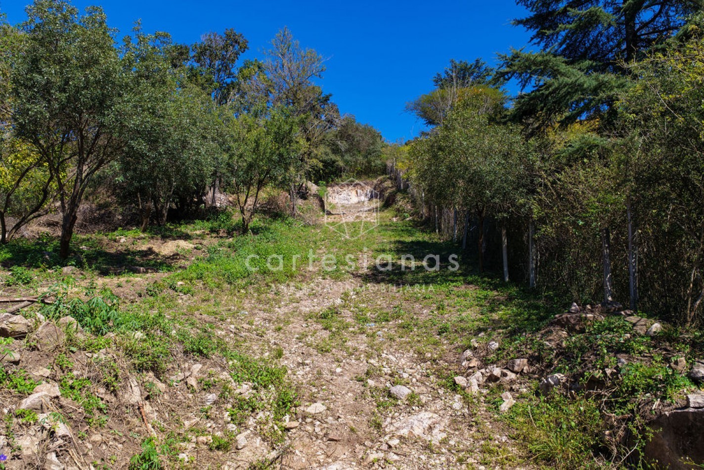 OPORTUNIDAD LOTE DE 3500 M2 SOBRE AV. SAN MARTIN | RIO CEBALLOS