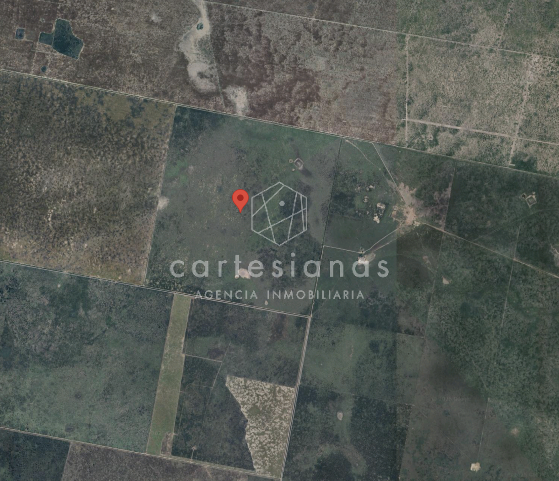 CAMPO AGRICOLA EN VENTA - 430 HECTAREAS PRODUCTIVAS