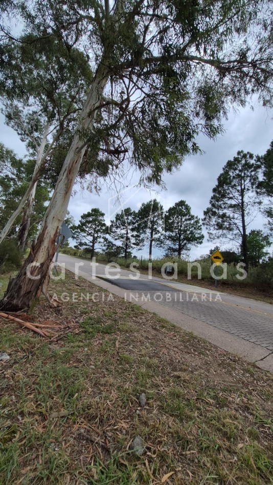 SAN CLEMENTE 9 HECTAREAS C/ SERVICIOS EN VENTA | CORDOBA