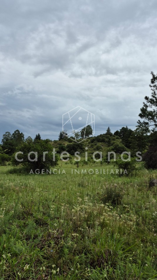 SAN CLEMENTE 9 HECTAREAS C/ SERVICIOS EN VENTA | CORDOBA