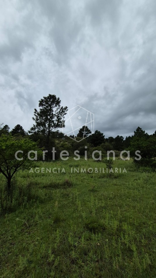 SAN CLEMENTE 9 HECTAREAS C/ SERVICIOS EN VENTA | CORDOBA