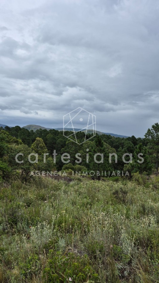 SAN CLEMENTE 9 HECTAREAS C/ SERVICIOS EN VENTA | CORDOBA