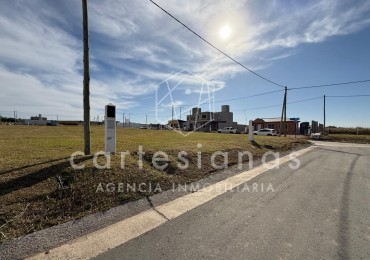 LOTE COMERCIAL DE 250 M2 | DOCTA CENTRAL