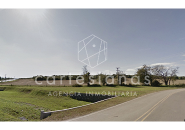 77 HA APTO LOTEO C/OPCION A 140 HA EN TOTAL | SOBRE RUTA E 53 UNQUILLO